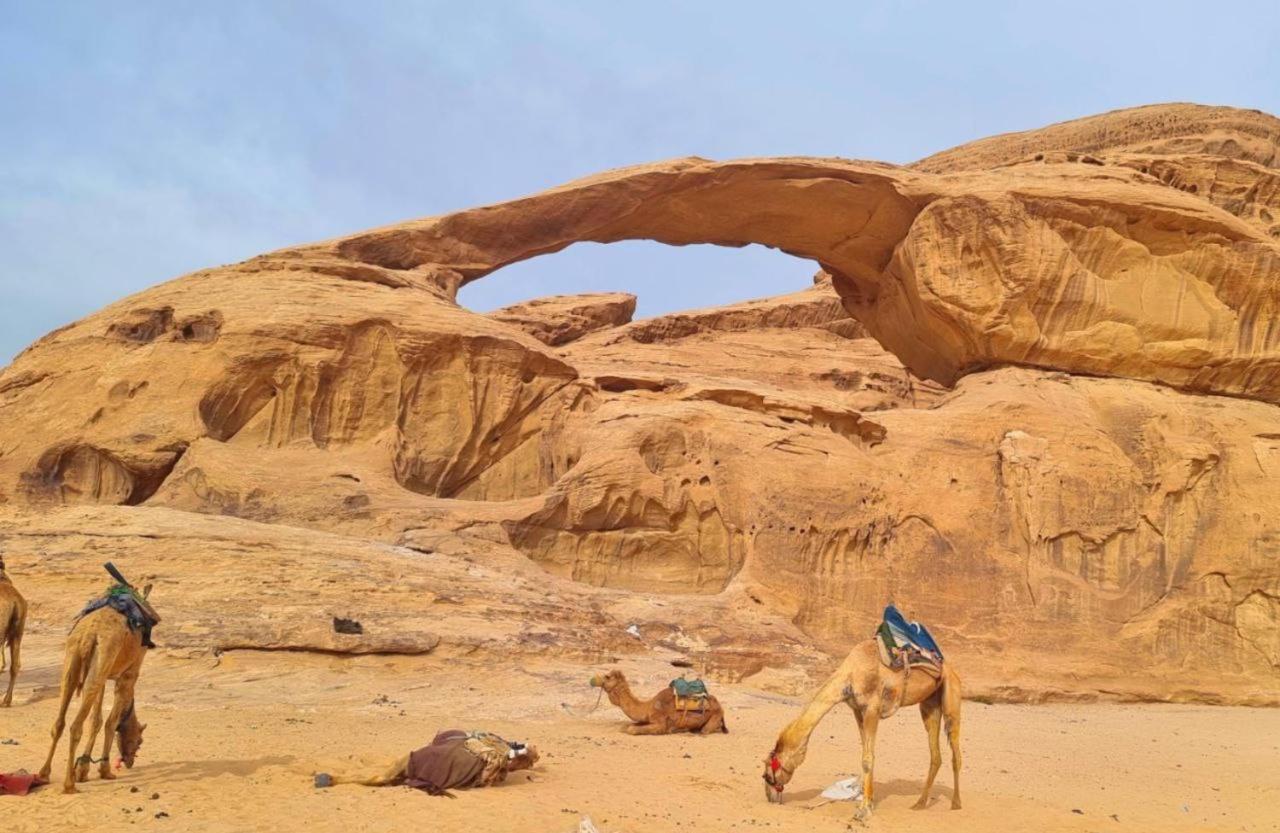White Desert Camp ワディ ・ラム エクステリア 写真