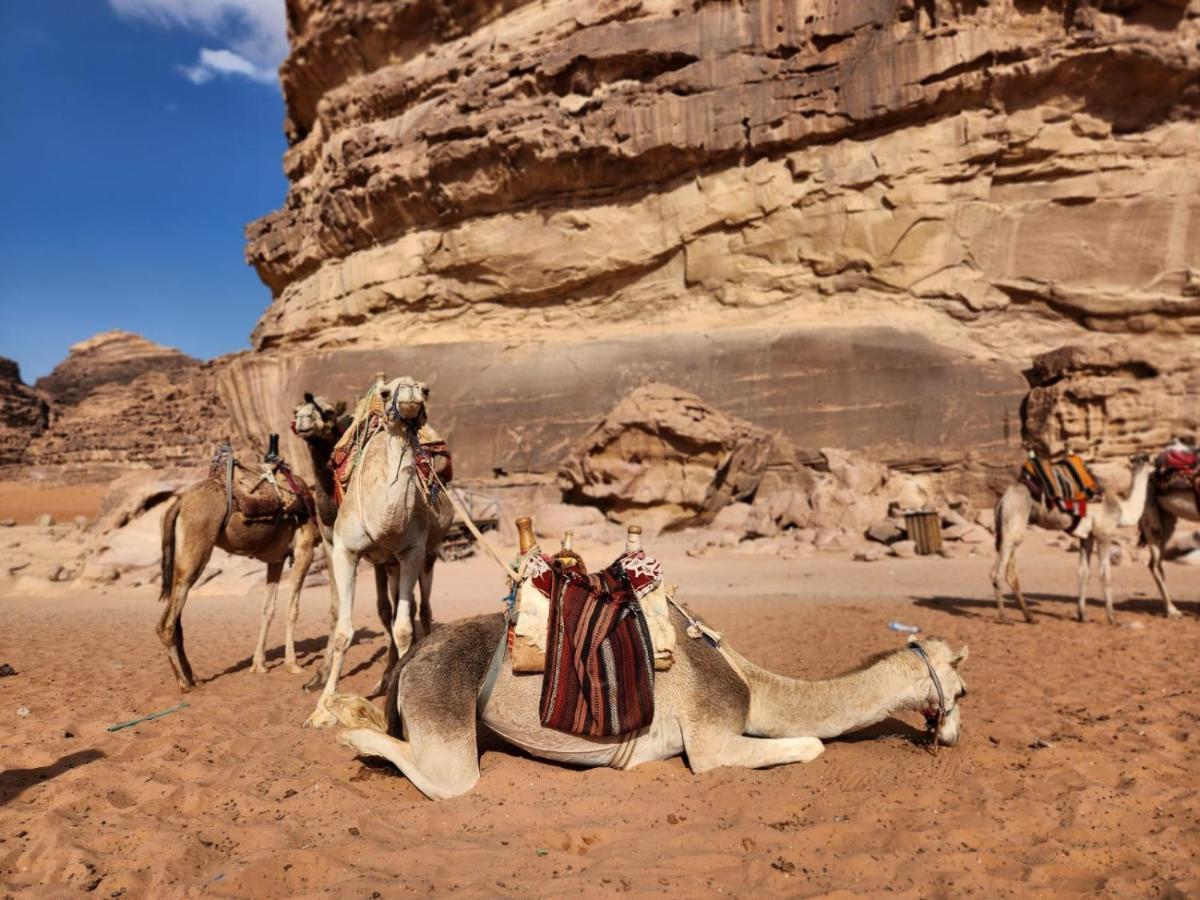 White Desert Camp ワディ ・ラム エクステリア 写真