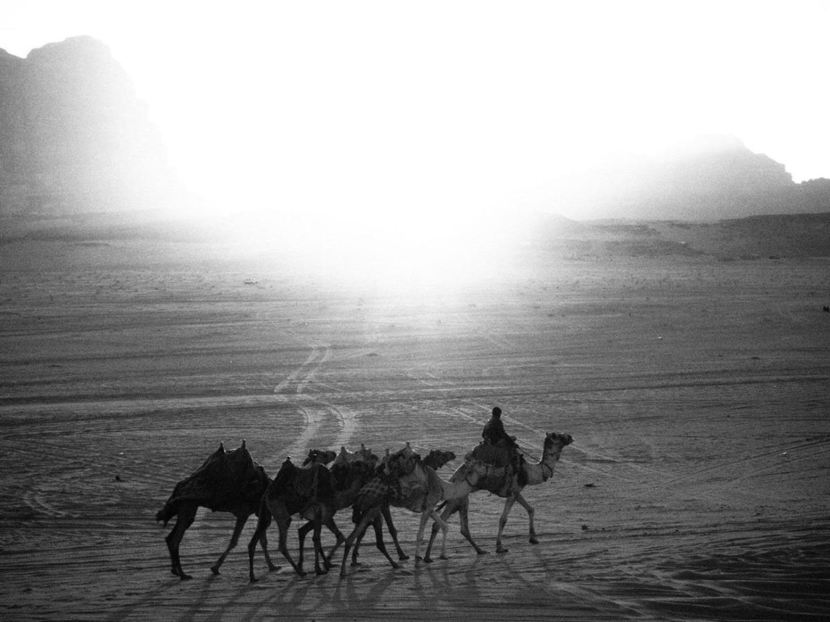 White Desert Camp ワディ ・ラム エクステリア 写真